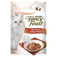 Fancy Feast Dry Cat Food Beef Salmon Cheese 450g
