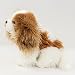 Teddys Rothenburg Plüschhund Cavalier King Charles Spaniel 25 cm Kuscheltier Hund
