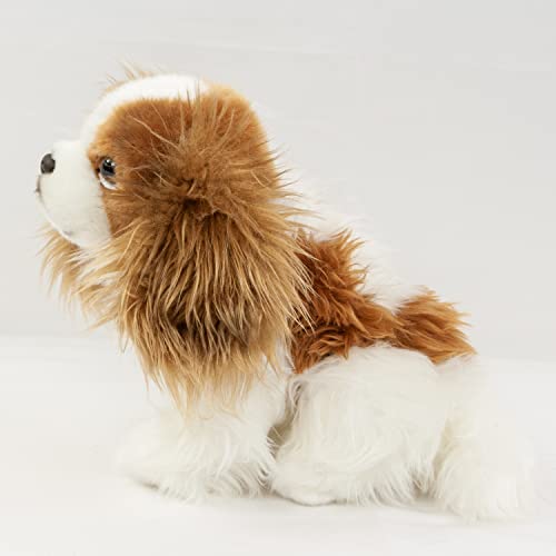 Teddys Rothenburg Plüschhund Cavalier King Charles Spaniel 25 cm Kuscheltier Hund