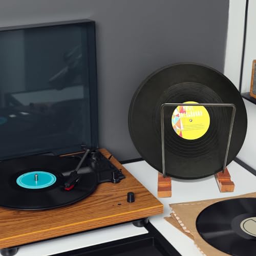 Soporte de vinilo de madera maciza para exhibir 50 álbumes en tu salón 4