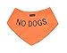 NO DOGS Orange Dog Bandana quality personalised embroidered message neck scarf fashion accessory Prevents accidents by warning others of your dog in advance