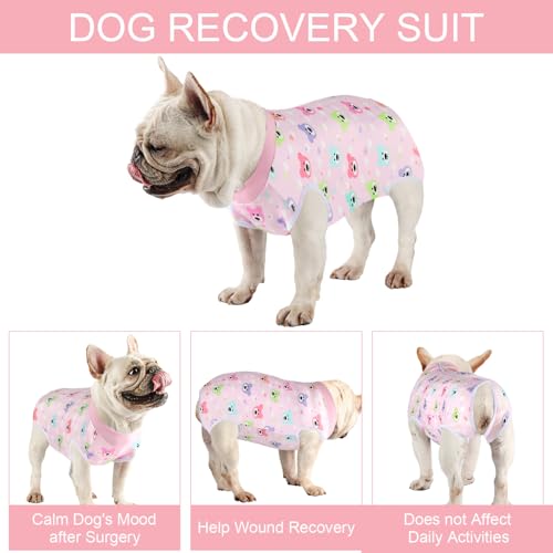 Image of Dog Surgery Suit Female Spay Recovery Suit for Dogs Surgical Recovery Suit for Female Dog Neuter Recovery Suit Male Dogs Onesie for Surgery Fits Small Medium Dog Pink Bear /L