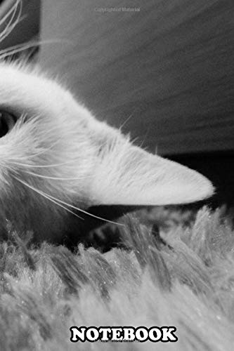 Notebook: Catlove , Journal for Writing, College Ruled Size 6" x 9", 110 Pages