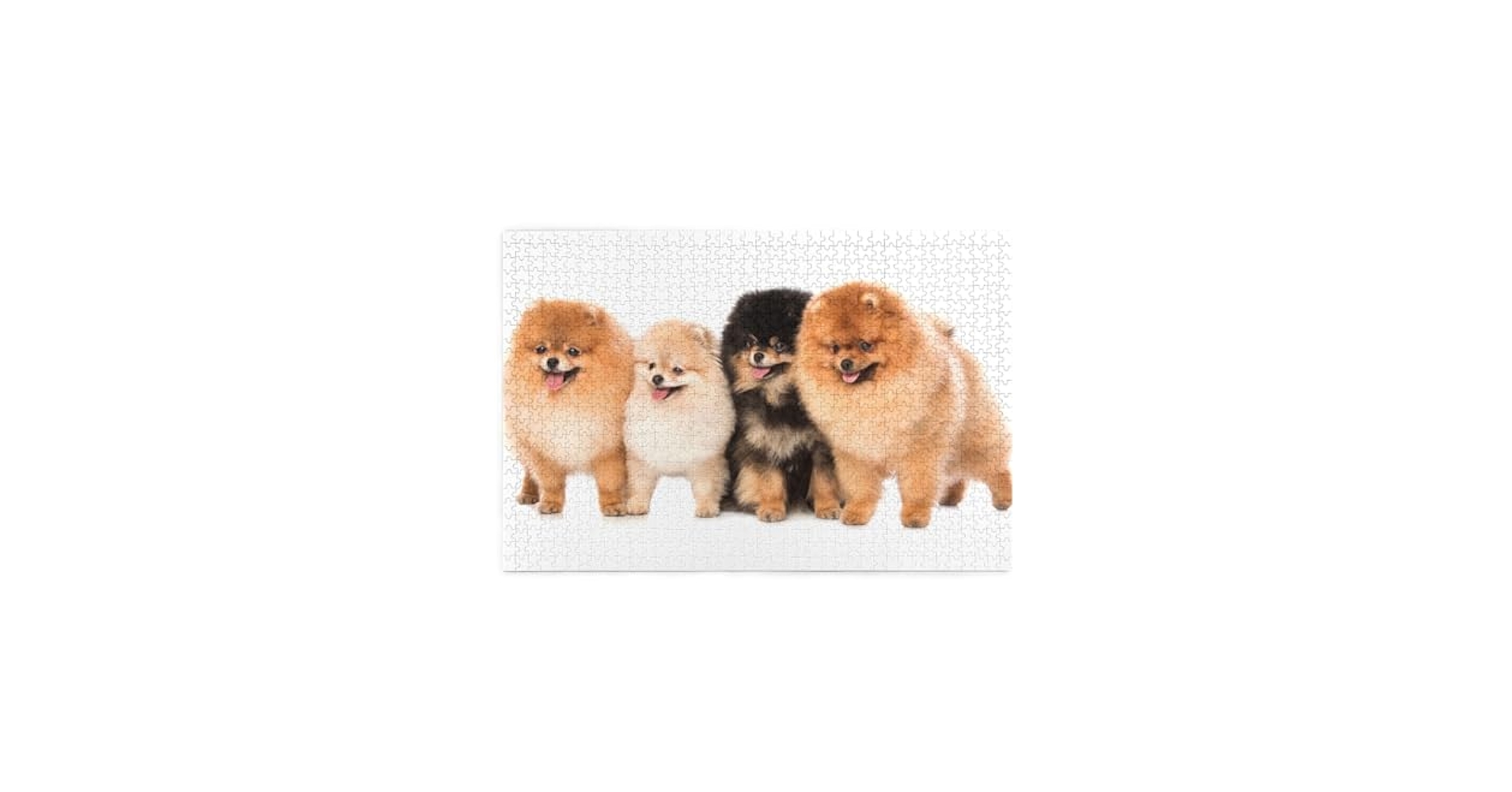 MAYA MAXX マヤマックス　1000ピース　 ジグソーパズル　犬　DOG MAYA MAXX マヤマックス 1000ピース ジグソーパズル 犬 DOG