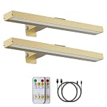 MIOBLUE Picture Lights for Wall, Wireless Painting Light with Remote, 16'' Rechargeable Art Battery Display Lamp Dimmer Timer, 3 Modes Magnetic Wall Light for Artworks Frames Dartboard- 2Pack
