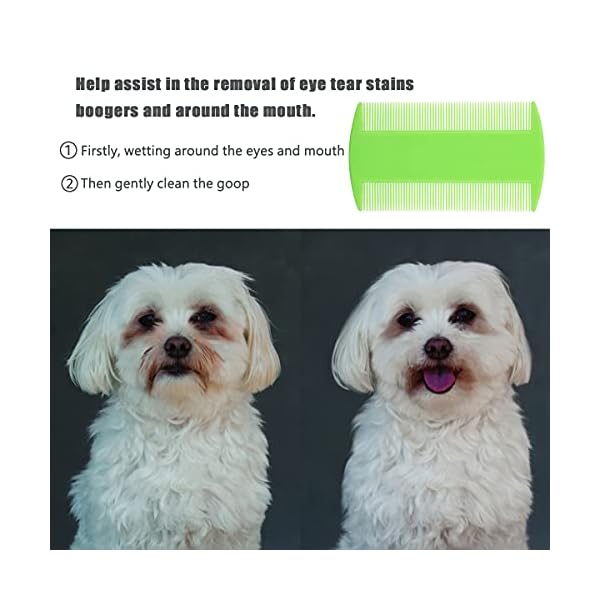 Lice Comb Flea Comb For Cats Dog Comb Pet Comb Set Metal Fine Tooth Comb Remove Tear Marks Float Hair Dandruff Lice Comb Flea Comb For Cats Dog Comb Pet Comb Set Metal Fine Tooth Comb Remove Tear Marks Float Hair Dandruff