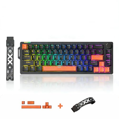 Gaozen x FURYCUBE 68% Mechanical Gaming Keyboard with RGB...