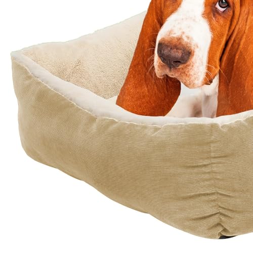 Petnic - Hundebett ca. 60x48x18 cm - Beige - Plüsch flauschig mit Rand weich für kleine bis mittelgroße Hunde Katzenbett Hundekissen Haustierbett eckig ca. 60x50 cm - Murago