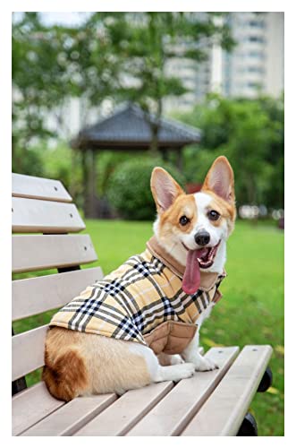 LYCICILI Cappotto Cane Giacca in Cotone for Cani