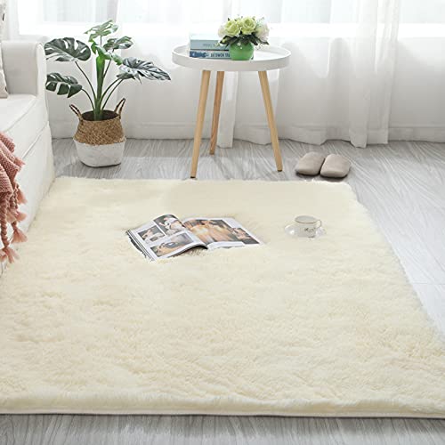 Alfombras Salon Grandes, Pelo Largo Alfombra Habitación Dormitorio Lavables Comedor Moderna Vivero, Alfombra Habitación...