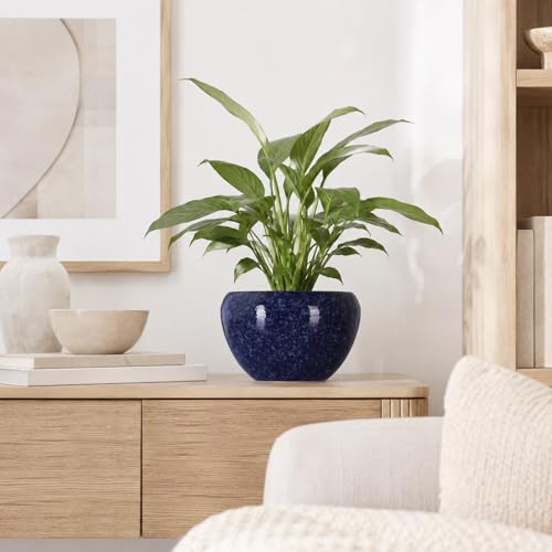 Pot de fleurs en céramique violet pour protéger les succulentes du dessèchement - 4