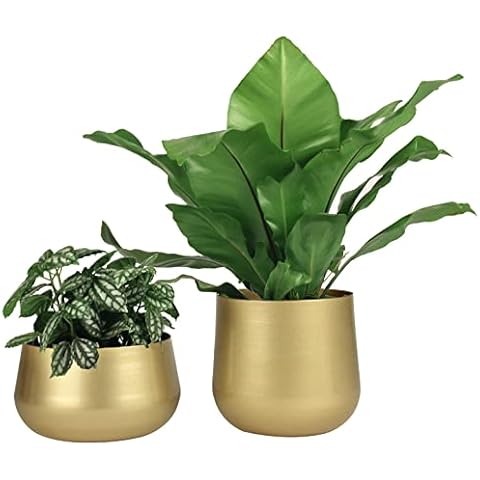 Vixdonos Gold Metal Flower Pots Garden Planters, 7.1/6.3 inch Indoor Round Succulent Containers, Pack 2 Cactus Plant Pots with Drainage Hole (Brass Gold) Cover