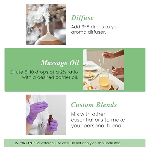 Image of Handcraft Blends Basil Essential Oil - 1 Fl Oz - 100% Pure and Natural - Premium Grade Essential Oil for Diffuser and Aromatherapy, Skin, Massage, Candle and Soap Making Fragrance