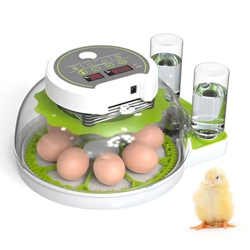 Incubateur automatique pour œufs de volailles avec fenêtre transparente