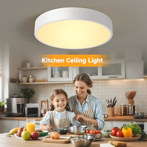 Image of Flush Mount Ceiling Light Fixtures White LED Dimmable 5CCT 12In 24W 2Pack