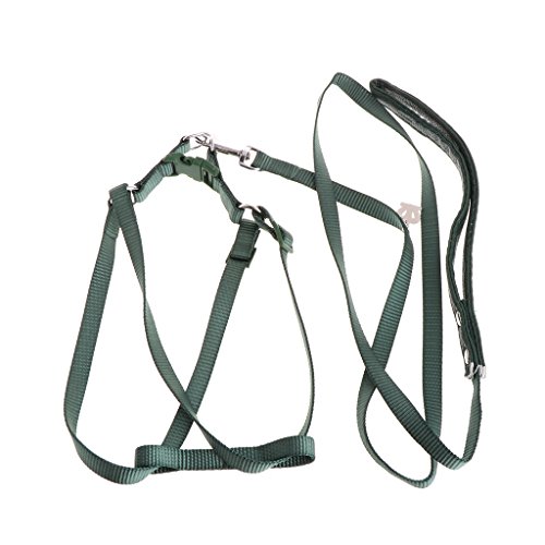 Zkhxhtg Soft Small Animal Harness and Leash for Chihuahua and Other Small Animals Hamster Vest Harness No Pull