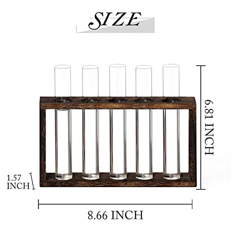 Xxxflower Plant Terrarium With Wooden Stand, Air Planter Bulb Glass Vase Metal Swivel Holder Retro Tabletop For Hydroponics Home Garden Office Decoration #TOP4
