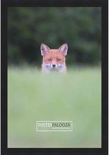 Miniatura 3 de Poster Palooza Marco de fotos contemporáneo de madera negra de 24 x 14 pulgadas, acrílico UV, respaldo de tablero de espuma y accesorios para colgar