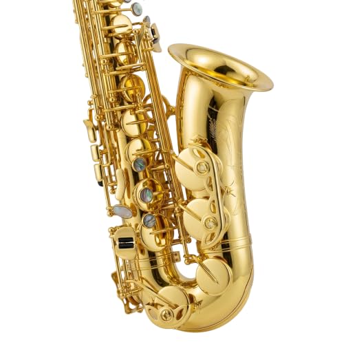 Image of Alto Saxophone Eb Gold Lacquer Finish Complete Starter Kit with Hard Case, Reeds & Maintenance Accessories for Entry & Intermediate Musicians, Beginners