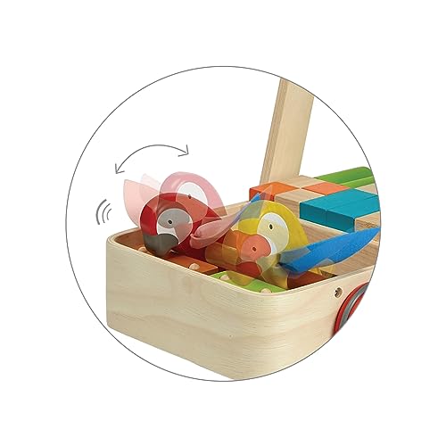 Bird Walker Plan Toys : chariot de marche en bois pour bébé