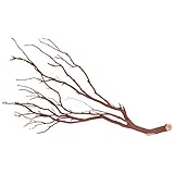 Koyal Wholesale Real Manzanita Branches, 12-Inch, Natural Brown