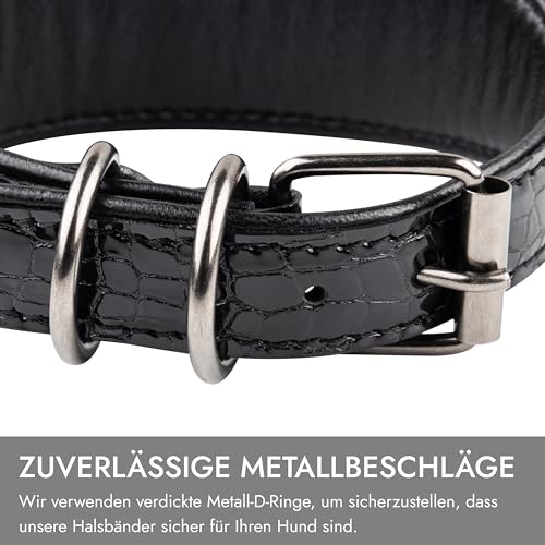 FAVPET Luxus Echtleder Windhund Halsband Breit mit QR Code Anhänger, Weiches Lederhalsband Hund Breit Whippet Italienisches Windspiel Saluki Lurcher Spanischer Galgo Greyhound Podenco (Schwarz, XS)