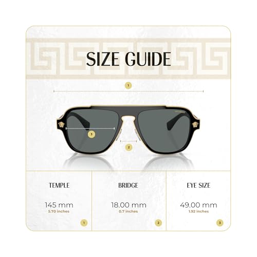 Versace VE2199 MEDUSA CHARM Square Sunglasses For Men +BUNDLE with ACCESSORY EYEWEAR KIT3