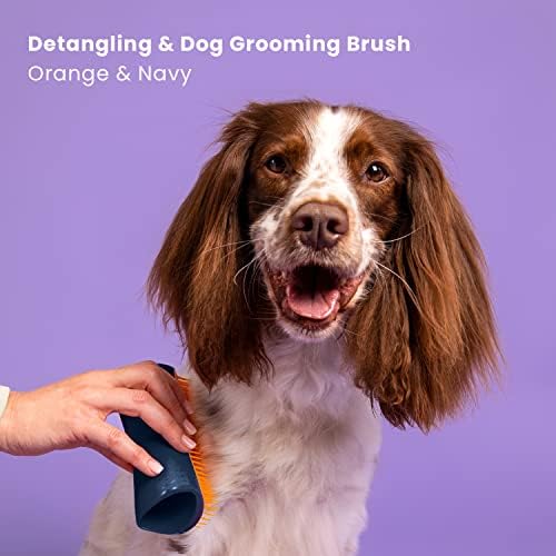 Tangle Teezer | Pet Teezer | Szczotka dla psa do rozczesywania i pielęgnacji, ergonomiczna i łatwa do czyszczenia, delikatnie usuwa węzły, luźne włosy i brud dzięki dwupoziomowym zębom, granatowy i