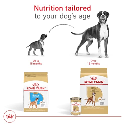 Royal Canin Breed Health Nutrition Boxer Adult Loaf in Sauce Dog Food, 13.5 oz (Pack of 12)