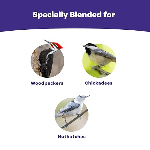 Kaytee Woodpecker Seed Cake ingredients close-up