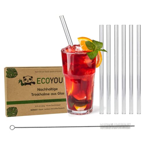 EcoYou Lot de 6 pailles en Verre avec Brosse de Nettoyage et Recettes Smoothie Transparent 21,5 cm Cover