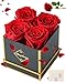 Changshunqi Forever Flowers, Preserved Roses in a Box, Eternal Rose Flowers for Delivery, Forever Preserved Roses Gifts for Her Women Wife Christmas Birthday Mothers Flower for Mom Womens Girlfriend