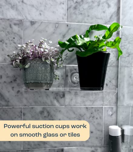 Window Shelf For Plants | Extra Sturdy Loading-Bearing Brace With Powerful Suction Cup Shelf | Window Sill Extender For Plants | Herbs, Succulent, Indoor Plants, Acrylic Window Sill Extender #TOP3