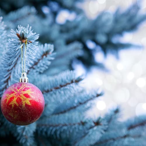 Veglione di Natale vegetariano