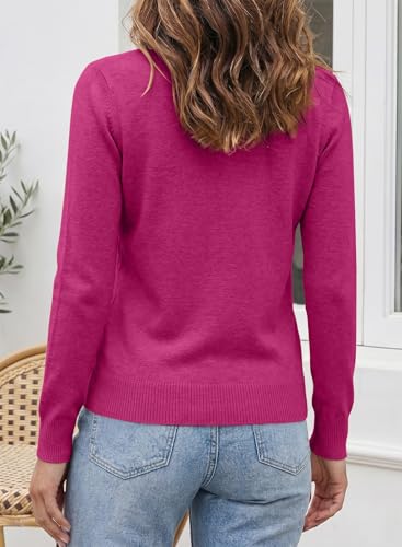 Image of SHEWIN Womens Sweaters 2026 Casual Crewneck Long Sleeve Lightweight Knit Pullover Sweater Tops Fall Clothes