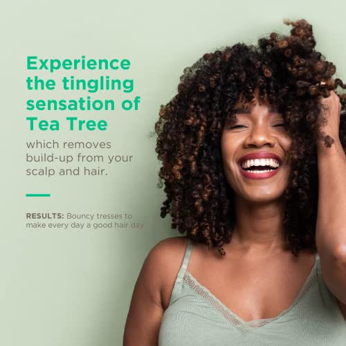 Soapbox Tea Tree With Shea Butter Conditioner, Volumizing, Vegan, Color Safe, Sulfate & Silicone Free Hair Conditioner W/Elderberry And Plum Oil - 16Oz (Pack Of 3) #TOP3