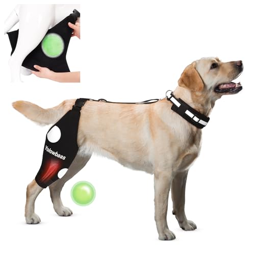 Image of Dog support02