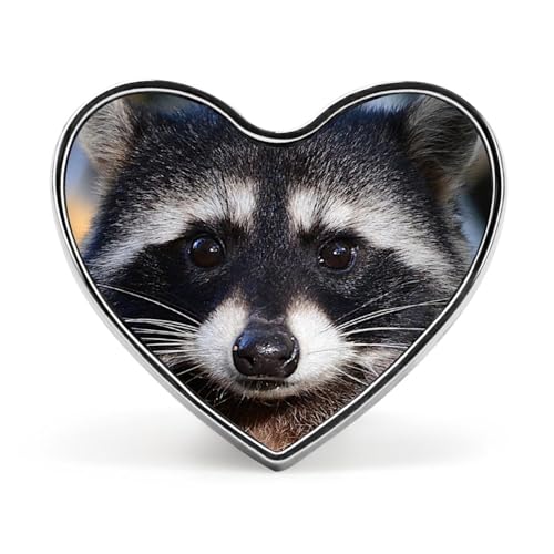 Cute Raccoon Brooch Pins Enamel Brooch Love Heart Lapel Pin Art Decor for Bag Jacket Hat 0.8