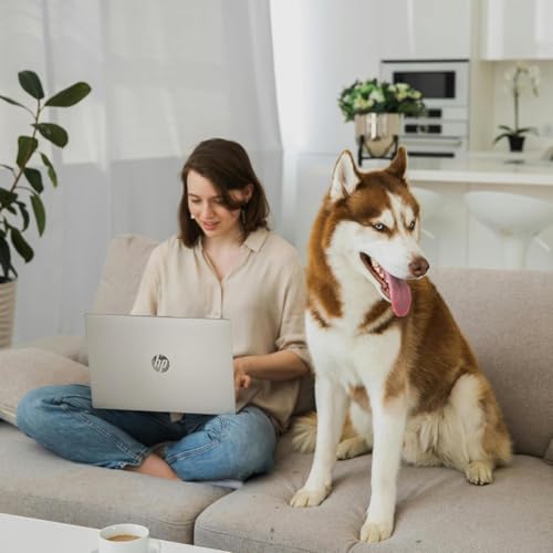 Image of HP 15.6 inch Business Laptop Computer with Microsoft 365 • 2026 Edition • Copilot AI • Intel 4-Core N100 CPU • 1.1TB Storage (1TB OneDrive + 128GB SSD) • Windows 11 • w /o Mouse