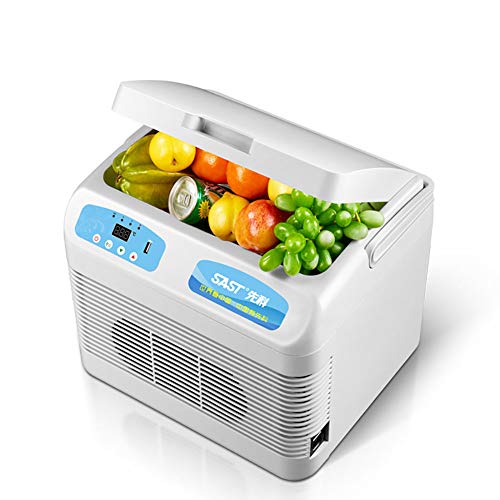 Thermo-Elektrischer Mini-Kühlschrank, 12L AC/DC Tragbaren Thermoelectric System W/Exklusiv Auf The Go USB Power Bank