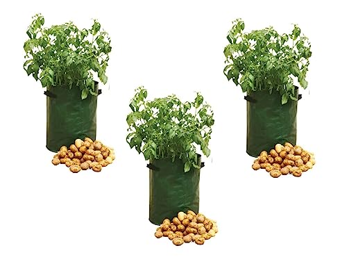 Invero Set of 3 Potato Grow Bags - Gardening Plant Growing Bags with Side Handles - Ideal for Planting Potato’s, Tomato, Carrots, Strawberries and other Vegetables (10 Gallon)