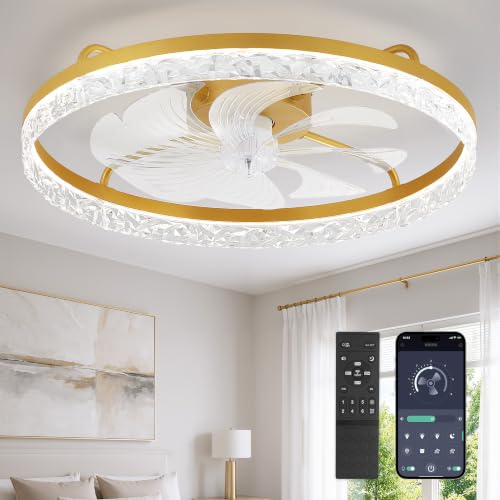 LEDIARY 24" Low Profile Ceiling Fans with Light and Remote, Fandelier Gold