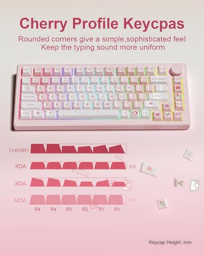 Image of dagaladoo PBT keycaps Set, Cherry Profile Keyboard Keycaps Cute | Glossy Cherry Blossom key caps,Custom keycaps for 60% 65% 75% 100% Cherry-MX switch Mechanical Keyboard(Pink,134-keys)