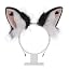 Axtedfg01-3-black