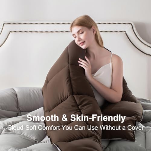 Image of KASENTEX Queen Comforter Set, Reversible,Goose Down Alternative,All Season | 250 GSM Fill, Ultra-Soft, Lightweight, Machine Washable, 1 Comforter + 2 Pillow Shams, Silver Cloud /Chocolate Brown
