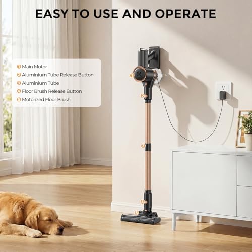 Cordless Stick Vacuum with HEPA