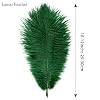 Lamar Feather 20pcs 10-12'' Blackish Green Ostrich Feathers for Wedding Centerpieces, Crafts, Festival Deco, Party Decor, Floral Arrangement, Bohemian Home Decor (Blackish Green) #1
