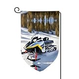 Fortschrittliches Schneemobil