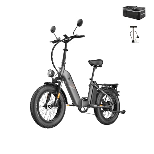 Fafrees FF20 Polar Fatbike E-Bike für Herren & Damen | 20 Zoll Klapprad | 48V 12Ah*2 Akku | 65N.m Motor, 150kg Tragfähigkeit | 170KM Reichweite (Hecktasche + Pumpe, grau)