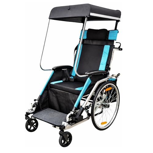 PediCruiser 2-in-1 Trailer Stroller